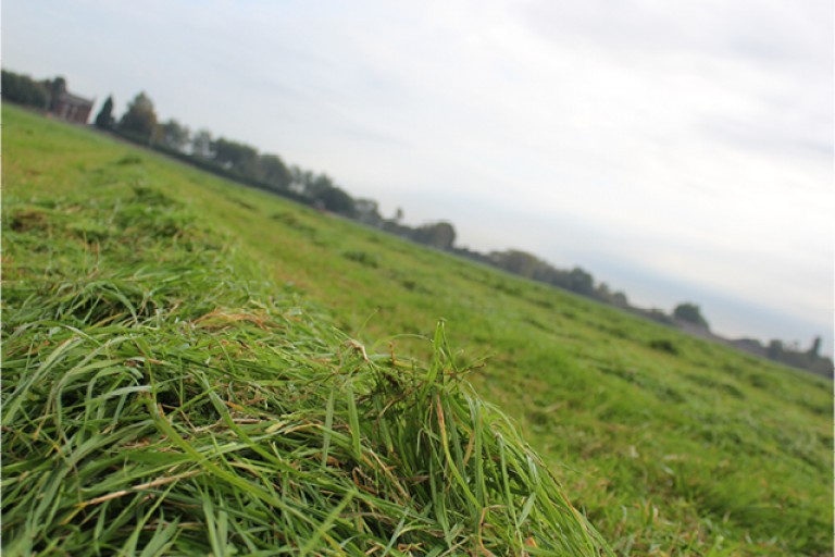 BROSTERS_55