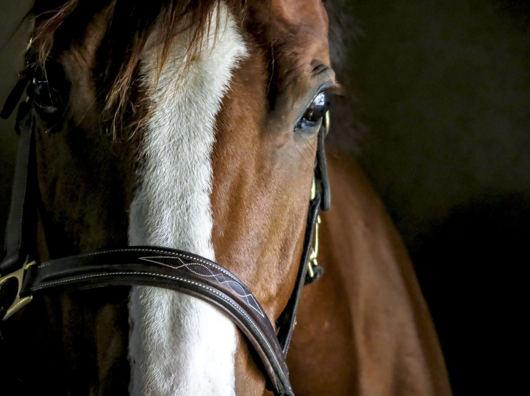 stables_brosters
